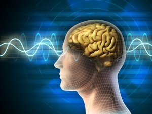 Neuroplasticity-Change-the-Structure-of-your-Brain_OM-Times